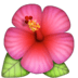 🌺