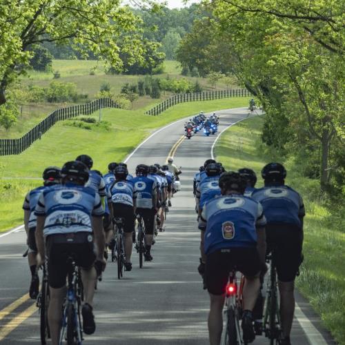 Participant Image